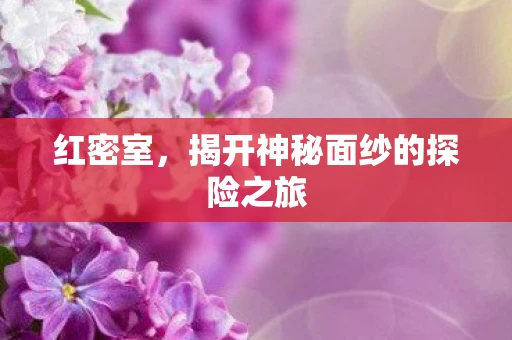 红密室，揭开神秘面纱的探险之旅
