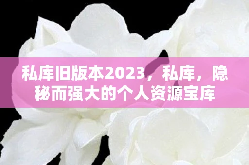 私库旧版本2023，私库，隐秘而强大的个人资源宝库