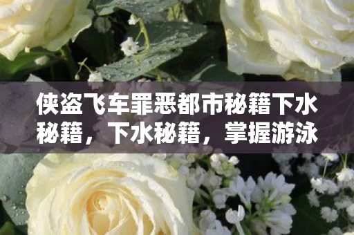 侠盗飞车罪恶都市秘籍下水秘籍，下水秘籍，掌握游泳技巧，享受水上乐趣