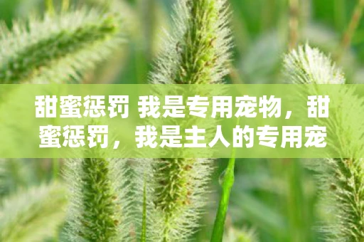 甜蜜惩罚 我是专用宠物，甜蜜惩罚，我是主人的专用宠物