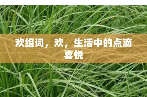 欢组词，欢，生活中的点滴喜悦
