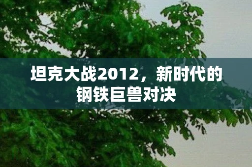 坦克大战2012，新时代的钢铁巨兽对决