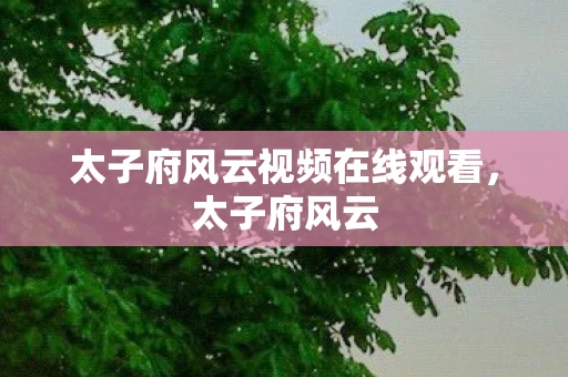 太子府风云视频在线观看，太子府风云