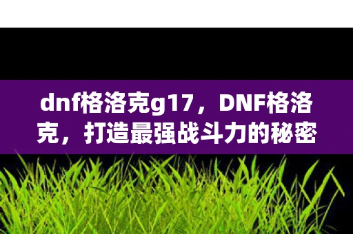 dnf格洛克g17，DNF格洛克，打造最强战斗力的秘密