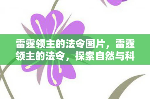 雷霆领主的法令图片，雷霆领主的法令，探索自然与科技的和谐共生