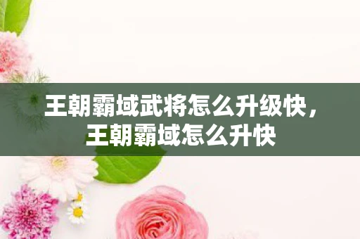 王朝霸域武将怎么升级快，王朝霸域怎么升快