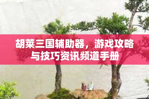 游戏攻略与技巧资讯频道手册图片