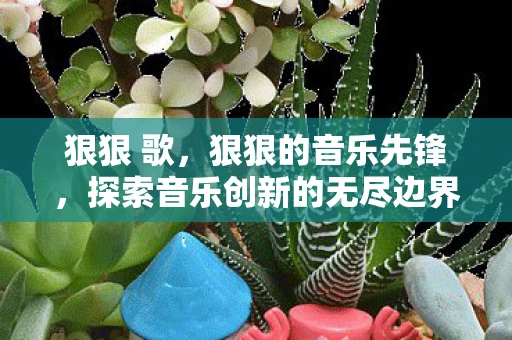 狠狠 歌，狠狠的音乐先锋，探索音乐创新的无尽边界