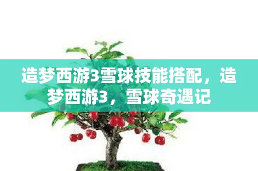 造梦西游3雪球技能搭配，造梦西游3，雪球奇遇记