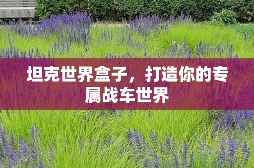 坦克世界盒子，打造你的专属战车世界