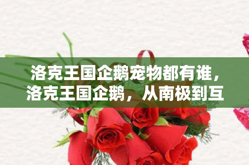 洛克王国企鹅宠物都有谁，洛克王国企鹅，从南极到互联网的奇妙旅程