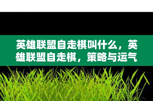 英雄联盟自走棋叫什么，英雄联盟自走棋，策略与运气的完美融合