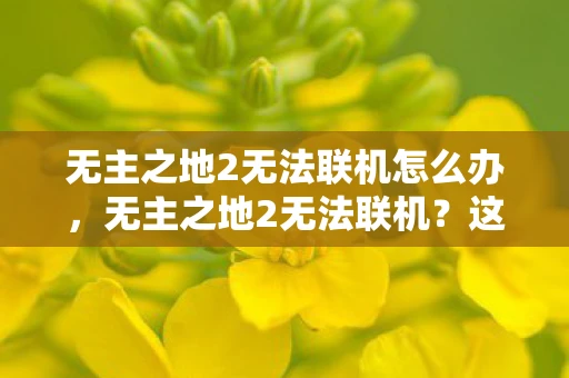 无主之地2无法联机怎么办，无主之地2无法联机？这里有解决方案！