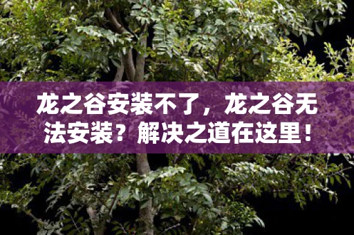 龙之谷安装不了，龙之谷无法安装？解决之道在这里！