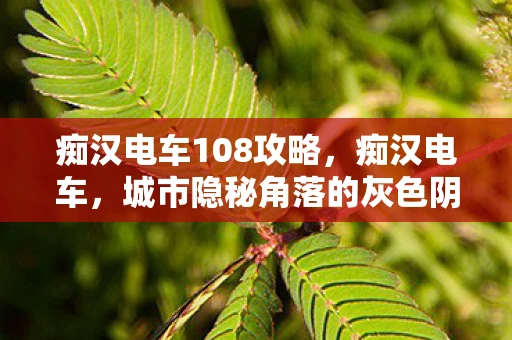 痴汉电车108攻略，痴汉电车，城市隐秘角落的灰色阴影