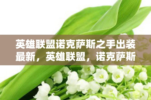 英雄联盟诺克萨斯之手出装最新，英雄联盟，诺克萨斯之手的完美出装指南