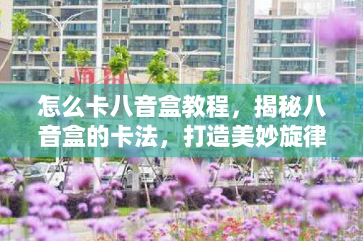 怎么卡八音盒教程，揭秘八音盒的卡法，打造美妙旋律的秘诀