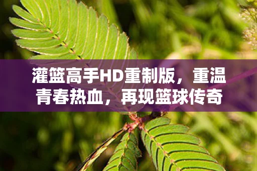 灌篮高手HD重制版图片