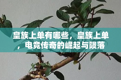 皇族上单有哪些，皇族上单，电竞传奇的崛起与陨落