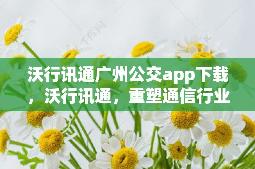 沃行讯通广州公交app下载，沃行讯通，重塑通信行业的未来