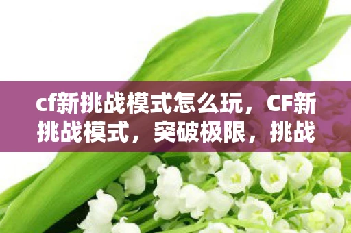 cf新挑战模式怎么玩，CF新挑战模式，突破极限，挑战自我
