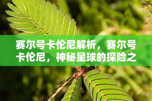 赛尔号卡伦尼解析，赛尔号卡伦尼，神秘星球的探险之旅