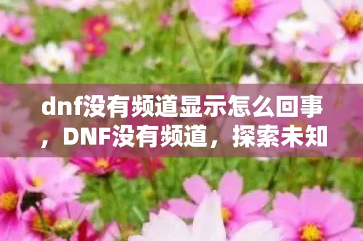 dnf没有频道显示怎么回事，DNF没有频道，探索未知领域的冒险