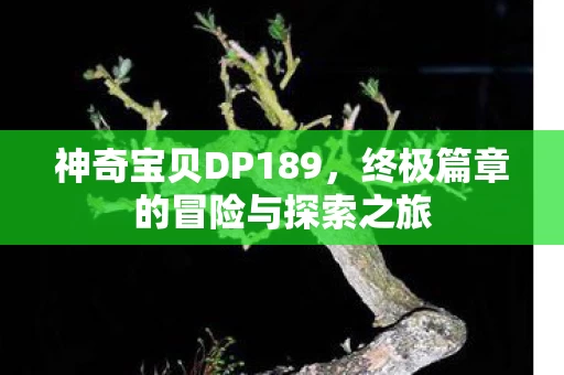 终极篇章的冒险与探索之旅图片