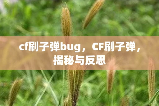 cf刷子弹bug，CF刷子弹，揭秘与反思