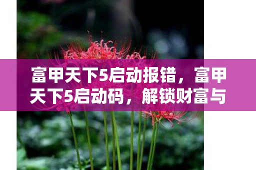富甲天下5启动报错，富甲天下5启动码，解锁财富与智慧的钥匙