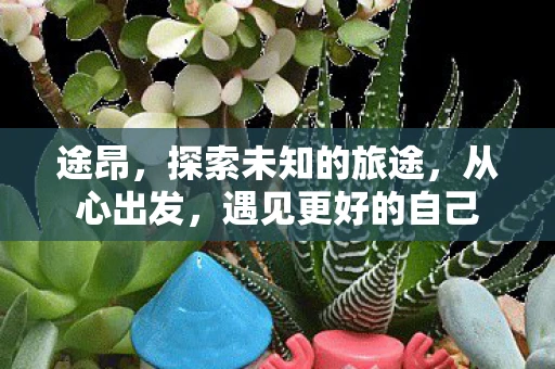 途昂，探索未知的旅途，从心出发，遇见更好的自己