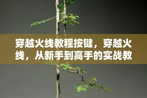 穿越火线教程按键，穿越火线，从新手到高手的实战教程