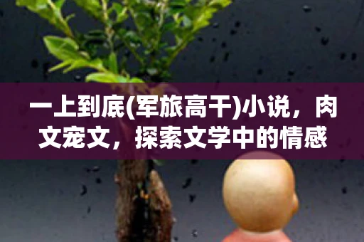 一上到底(军旅高干)小说，肉文宠文，探索文学中的情感与欲望