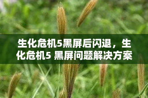 生化危机5黑屏后闪退，生化危机5 黑屏问题解决方案