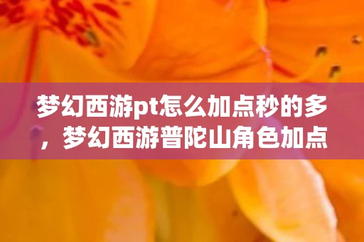 梦幻西游pt怎么加点秒的多，梦幻西游普陀山角色加点攻略