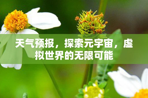 天气预报，探索元宇宙，虚拟世界的无限可能
