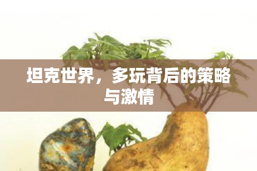 坦克世界，多玩背后的策略与激情