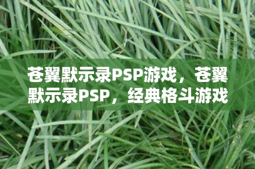 苍翼默示录PSP游戏，苍翼默示录PSP，经典格斗游戏的掌中再现