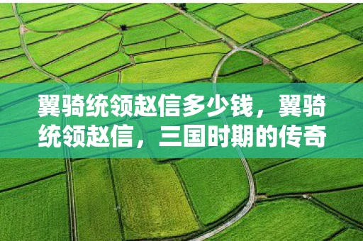 翼骑统领赵信多少钱，翼骑统领赵信，三国时期的传奇将领