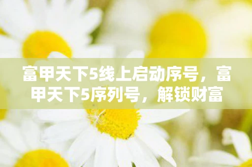 富甲天下5线上启动序号，富甲天下5序列号，解锁财富与智慧的神秘钥匙