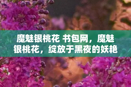 魔魅银桃花 书包网，魔魅银桃花，绽放于黑夜的妖艳之花