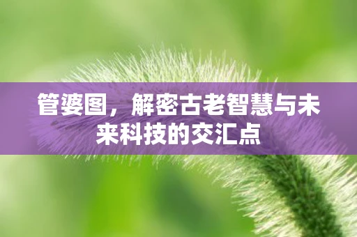 管婆图，解密古老智慧与未来科技的交汇点