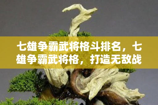 七雄争霸武将格斗排名，七雄争霸武将格，打造无敌战队的秘密