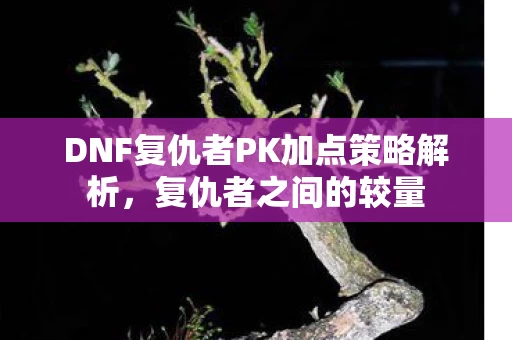 DNF复仇者PK加点策略解析图片