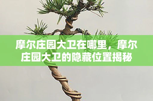 摩尔庄园大卫在哪里，摩尔庄园大卫的隐藏位置揭秘