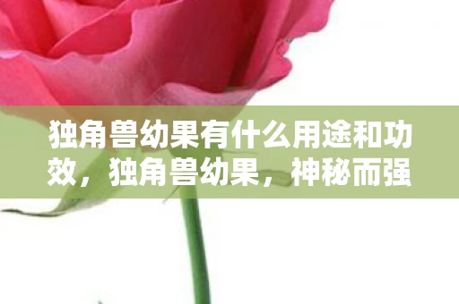 独角兽幼果有什么用途和功效，独角兽幼果，神秘而强大的自然宝藏