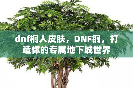 dnf桐人皮肤，DNF铜，打造你的专属地下城世界