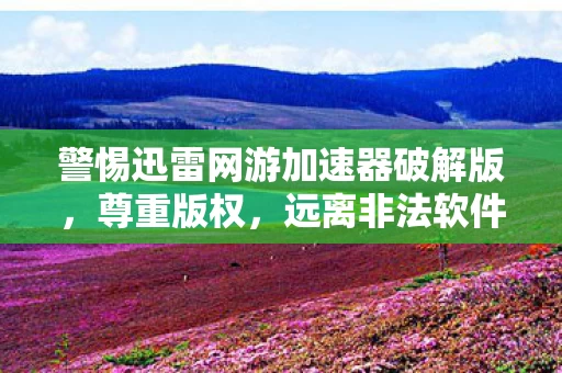 警惕迅雷网游加速器破解版图片