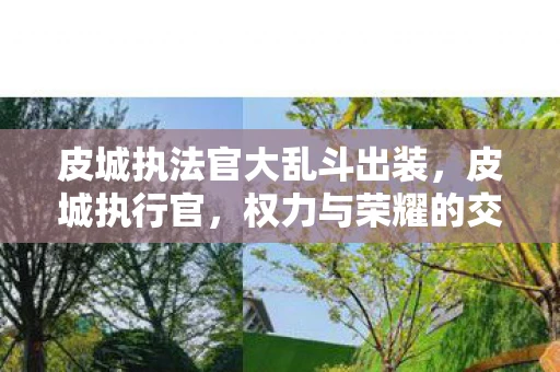 皮城执法官大乱斗出装，皮城执行官，权力与荣耀的交织