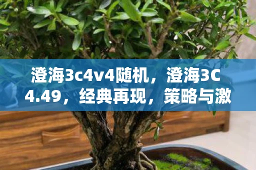 澄海3c4v4随机，澄海3C 4.49，经典再现，策略与激情的碰撞